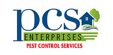 digital marketing agency in Visakhapatnam